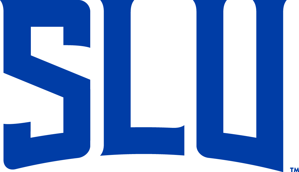 Saint Louis Billikens 2015-Pres Wordmark Logo v5 t shirts iron on transfers